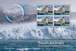 South Georgia Antarctic 2023 Frozen Planet BBC - Feuillet Manchot Royal - Penguins (valeurs 1.25) - Ongebruikt