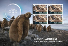 South Georgia Antarctic 2023 Frozen Planet BBC - Feuillet Manchot Royal - Penguins (valeurs 1.25) - Ongebruikt