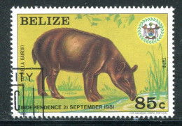 BELIZE- Y&T N°563- Oblitéré - Belize (1973-...)