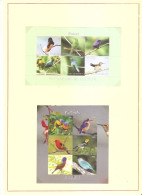 Birds MNH** - Spechten En Klimvogels