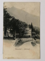 AK Walenstadt -"Schlössli" Um 1905 - Walenstadt