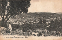 MAROC - Fez - Vue à Travers Les Oliviers - Carte Postale Ancienne - Fez