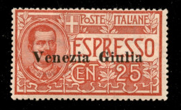 Occupazioni I Guerra Mondiale - Venezia Giulia - 1919 - 25 Cent (1) - Gomma Integra - Sonstige & Ohne Zuordnung