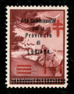 Occupazioni II Guerra Mondiale - Lubiana - 1941 - 1+1 Din Alto Commissariato (58) - Gomma Integra - Bar (400) - Otros & Sin Clasificación