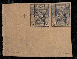 Colonie - Libia - 1924 - Prova Di Stampa - 2 Lire Violetto (P43A) - Coppia Angolare - Sempre Senza Gomma - Oliva - Autres & Non Classés