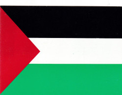 DRAPEAU DE L'ETAT PALESTINIEN - Palestina