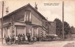 FRANCE - Avenue Des Tilleuls Au Pileu (S Et O) - Carte Postale Ancienne - Massy