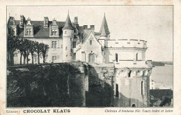 FRANCE - Amboise - Château D'Amboise - Carte Postale Ancienne - Amboise