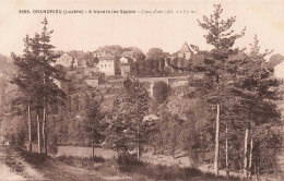 48 - GRANDRIEU _S22153_ A Travers Les Sapins - Cure D'Air - Gandrieux Saint Amans