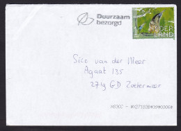 Netherlands: Cover, 2023, 1 Stamp, Bittern Bird, Animal (minor Crease) - Lettres & Documents