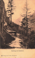 SUISSE - Göschenen - Forêt De Göschenen - Carte Postale Ancienne - Göschenen