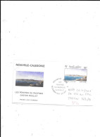 NOUVELLE CALEDONIE N° PA 296 OBL SUR FDC TABLEAU 25.3.93 - Storia Postale