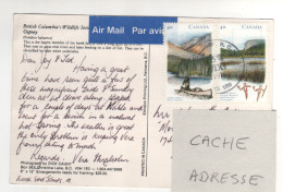 Timbres , Stamps " Rivière Atbabasca , Route Frontalière Des Voyageurs " Sur CP , Carte , Postcard  Du 05/11/91 - Briefe U. Dokumente
