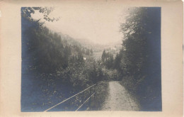 PHOTOGRAPHIE - Une Allée Dans La Forêt - Carte Postale Ancienne - Photographs