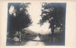 PHOTOGRAPHIE - Une Allée Dans La Forêt - Carte Postale Ancienne - Photographs