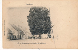 HAASDONK   DE VRIJHEIDSBOOM       2 SCANS - Beveren-Waas