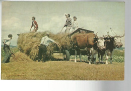 52766 )  Canada Nova Scotia New York Postmark 1969 - Autres & Non Classés
