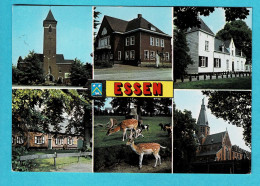 * Essen - Esschen (Antwerpen - Anvers) * (J. V. D. B., Nr 225/1) Groeten Uit Essen, Bonjour De, Cerf, église, Chateau - Essen