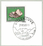 Schweiz / Helvetia 1960, Ortswerbestempel Villeneuve, Schwan / Cygne / Swan / Cygnus - Zwanen