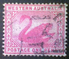 Australia-Western Australia, Scott #73, Used (o), 1898, Black Swan, 1d, Carmine Rose - Used Stamps