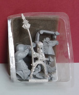 Lot De 1 Figurine Warhammer En Métal Hors Blister : 1 Porte-étendard Elfe à Cheval ( Voir Photo ) - Other & Unclassified