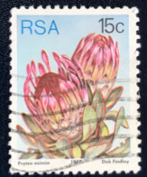 South Africa - RSA - C14/22 - 1977 - (°)used - Michel 522 - Protea - Oblitérés