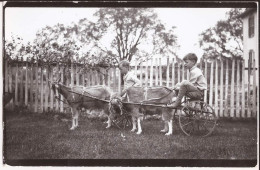 USA - Carte-photo A04 Editeur à Lancaster, PA  Goat Caravan Cart - Lancaster