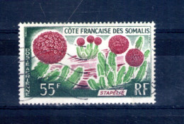 Cote Française Des Somalis. Poste Aérienne. 1966. Cactus. Stapélie - Oblitérés