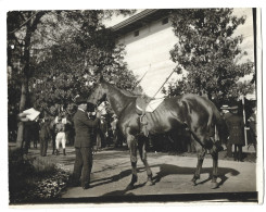 CHILI CHILE - SANTIAGO - 1911 -  Hippodrome Hipodromo - Photo Originale - Cheval De Course - América