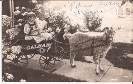 USA - Carte-photo Goat Cart Calmar Iowa - Otros & Sin Clasificación