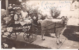 USA - Carte-photo Goat Cart Calmar Iowa - Other & Unclassified