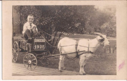 USA - Carte-photo Goat Cart  Alliance Ohio - Altri & Non Classificati