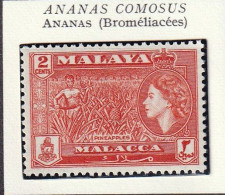 MALAISIE - MALACCA - Fruits, Ananas Comosus, Reine Elizabeth II - MNH - Malacca