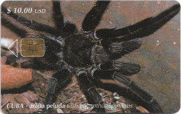 Cuba - Etecsa (Chip) - Arana Peluda, 03.2001, 10$, 30.000ex, Used - Kuba
