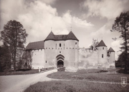 AINAY LE VIEIL - Château - Très Bon état - Ainay-le-Vieil
