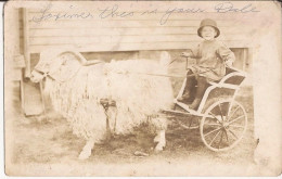 USA - Carte-photo Goat Cart Mention Manuscrite Renton, Wash. - Autres & Non Classés