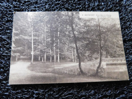 Boitsfort, Sous-Bois à L'Etang Des Enfants Noyés, Non Circulé  (R19) - Watermael-Boitsfort - Watermaal-Bosvoorde