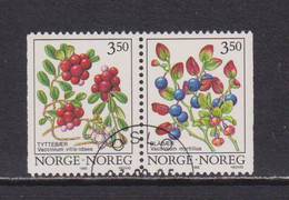 NORWAY - 1995 Wild Berries  Booklet Pair Used As Scan - Gebraucht