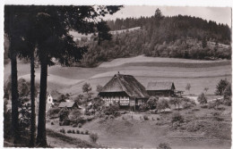 Allemagne--1959-- Hazenbauernhof Bei  LAUTERBACH Im Schwarzwald --- - Altri & Non Classificati