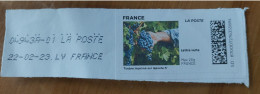 Timbre En Ligne "Raisin/Vigne" (Lettre Verte) - France - Printable Stamps (Montimbrenligne)