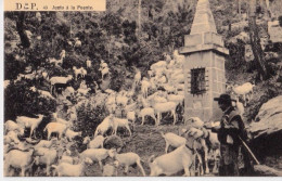 Espagne - Desierto De Las Palmas - Junto A La Puente Cabras Goat - Autres & Non Classés