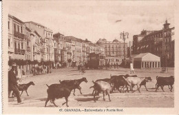 Espagne - Granada - Embovedado Y Puerta Real Cabras Goat - Granada