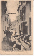 Espagne - Grazalema - Calle Doctor Mateos Gago Cabras Goat - Cádiz