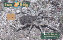 SPAIN - Spider, Chip GD10, 07/08, Used - Altri & Non Classificati
