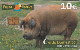 SPAIN - Pig, Tirage 75800, 03/06, Used - Altri & Non Classificati