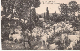 Espagne - Valencia - Estivilla De Regreso Cabras Goat - Autres & Non Classés