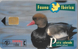 CARTE-PUCE-ESPAGNE-2000Pts-09/96-CANARD-PATO COLORADO-TBE - Hühnervögel & Fasanen