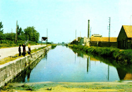 (r) Audruicq - Le Canal - Ed Pierron - Audruicq