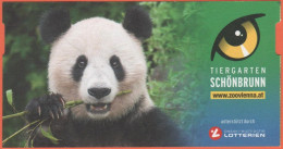 AUSTRIA - VIENNA - WIEN - Tiergarten Schönbrunn - Zoo - Panda - Biglietto D'Ingresso Ridotto - Usato - Tickets - Entradas