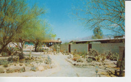Ghost Ranch Lodge Tucson Arizona USA. Cactus Landscaping, Mountain, Animation - Tucson